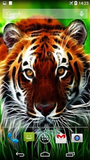 Tigers 3D Live Wallpaper截图3