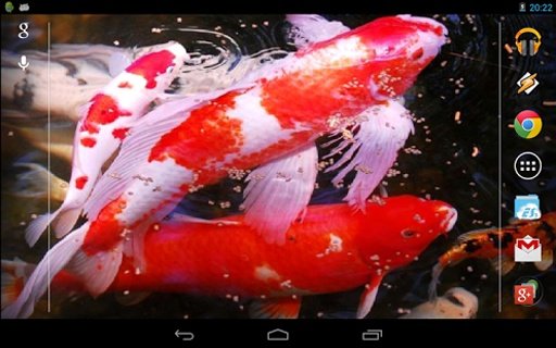 Water Effect: Bright Koi Fish截图2