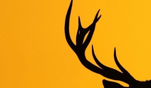 Deer Lite Wallpaper截图7