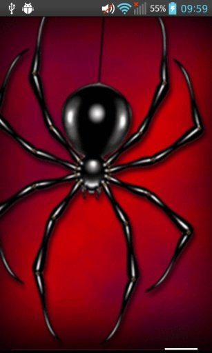 Spider Live Wallpaper截图1