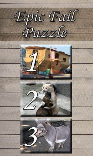 Epic Fail Puzzle free截图2