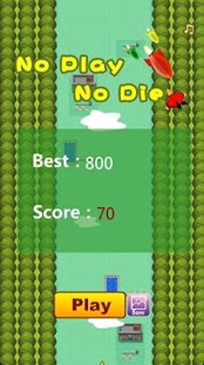 No Play Bird No Die截图4