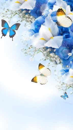 Flower Livewallpaper HD截图9