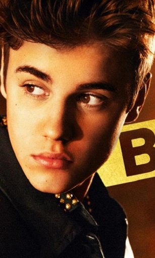 Justin Bieber Fun Puzzle截图4