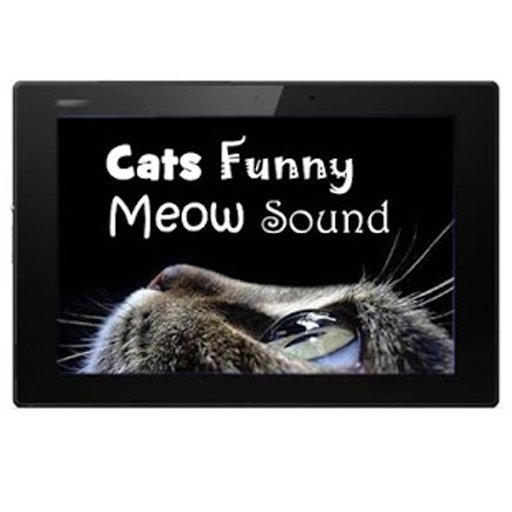 Cats Funny Meow Sound截图2