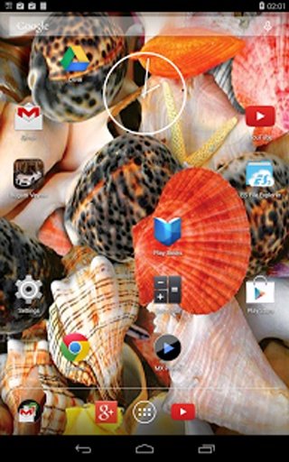 Sea Shell LWP截图1