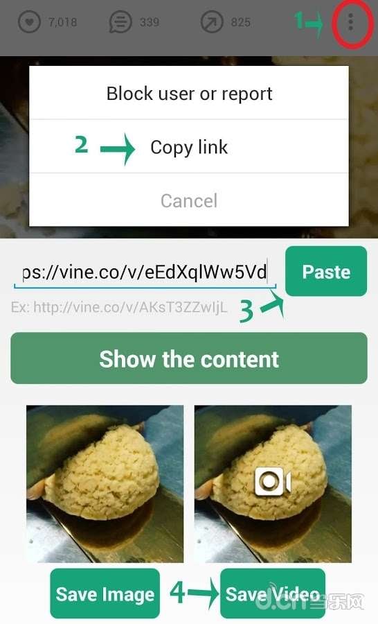 Vine视频保存工具VineSaver截图1