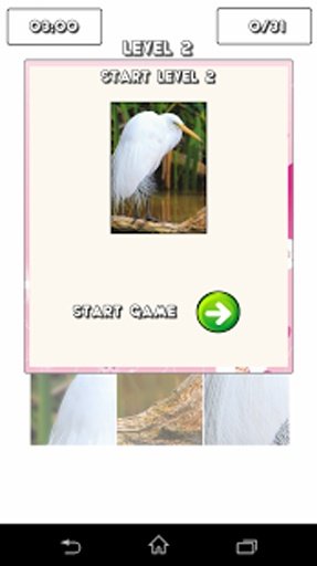 Cute Birds Puzzle Game截图6