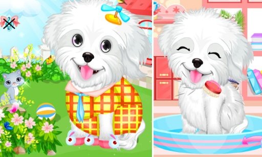 Fluffy Puppy Pet Spa &amp; Care截图5