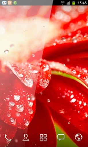 Galaxy S4 Red Flower HD截图4