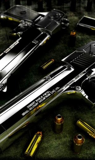 Marines Weapons HD Theme截图2