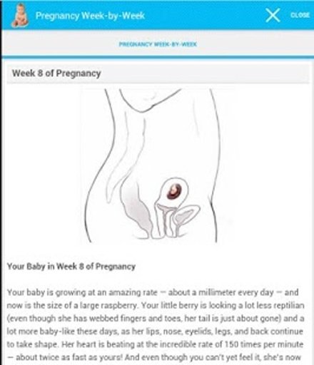 Pregnancy Week-by-Week截图4