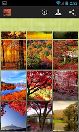 Autumn Wallpapers截图1