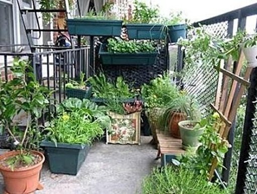 Small Garden Design截图2