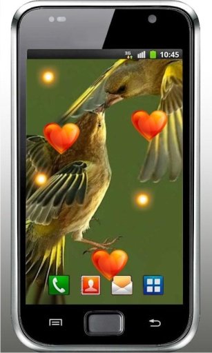 Valentine Birds live wallpaper截图7