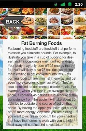 Fat Burning Foods App截图6