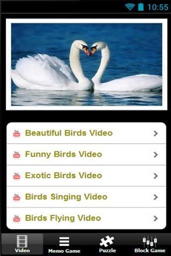 Beautiful Birds Game截图5