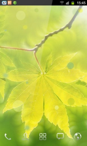 XperiaZ Wallpaper Green Leaves截图6