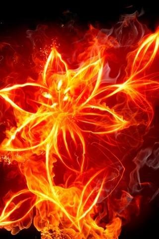 Burning Fire 3D Live Wallpaper截图5