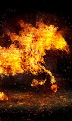 Fire Horse 3D Live Wallpaper截图4