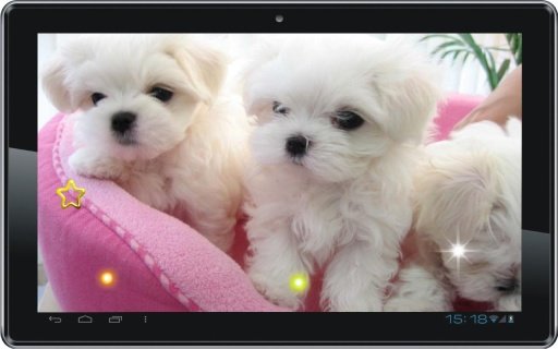 Cute Puppy Best live wallpaper截图5