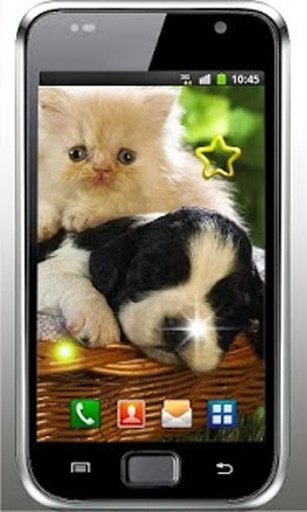 Cute Puppy Best live wallpaper截图2