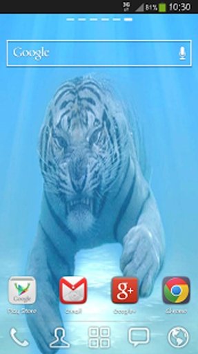 White Tiger Live Wallpaper Tap截图4