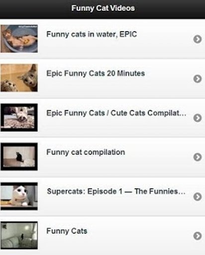 Funny Cat Videos截图1