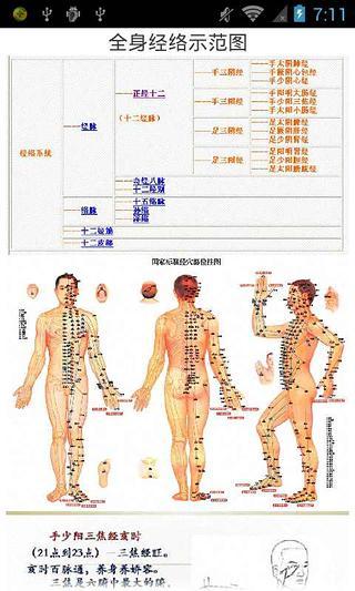 全身经络示范图截图3