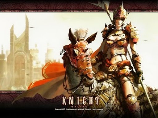 Knight Online截图1