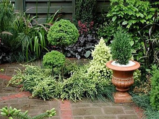 Small Garden Design截图7