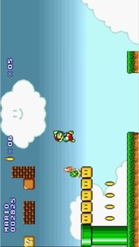 super mario flash 3