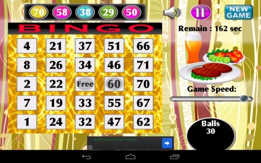 Bingo Bar Grill Real Fun Free截图2