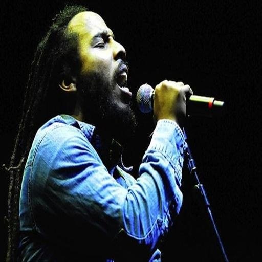 Bob Marley Songs截图5