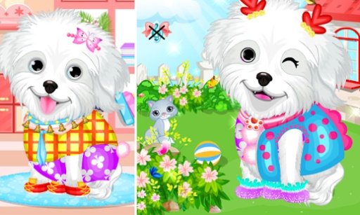 Fluffy Puppy Pet Spa &amp; Care截图1