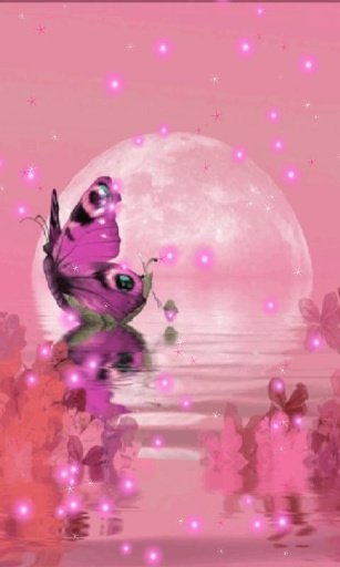 Pink Butterfly Live Wallpaper截图1