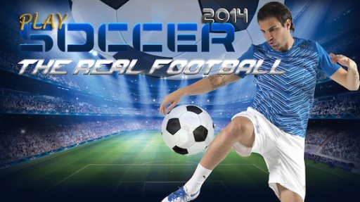 Play soccer 2014 real football截图2