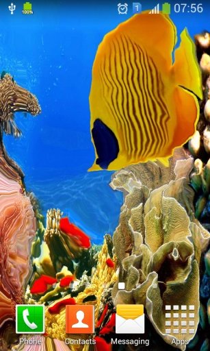 Coral Reef Aquarium HD LWP截图3