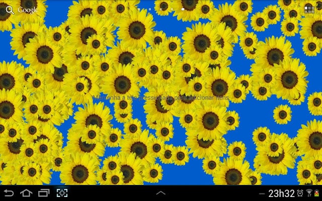 Sunflower Live Wallpaper Free截图3