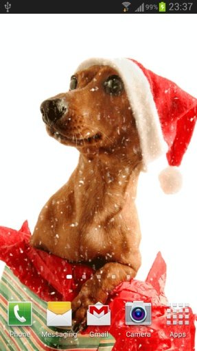 Christmas Dog截图1