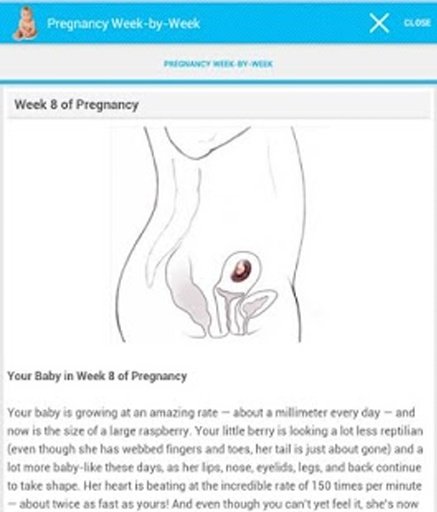 Pregnancy Week-by-Week截图2