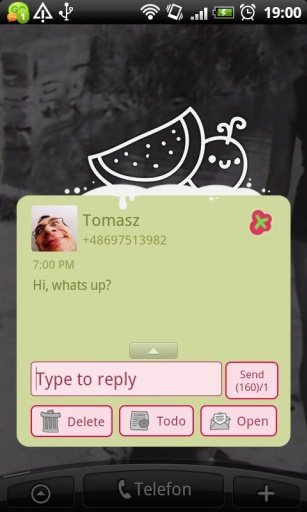 GO SMS Sweet Watermelon Theme截图3