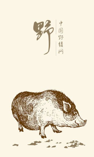 中国野猪网截图7