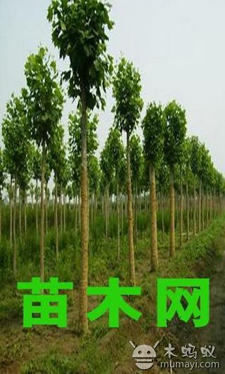 中国苗木网截图6