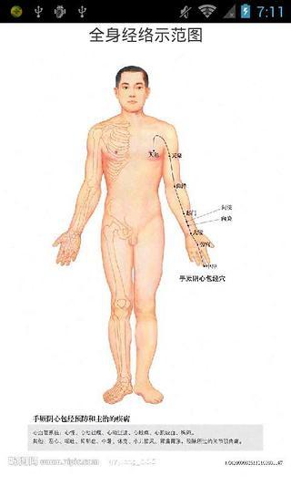 全身经络示范图截图4