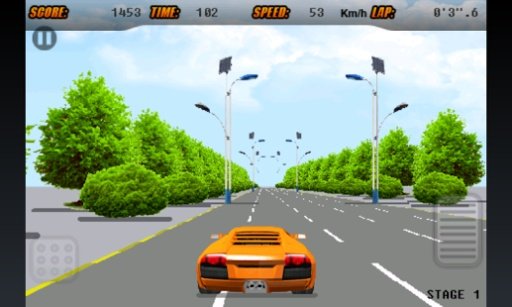 GTR Race截图4