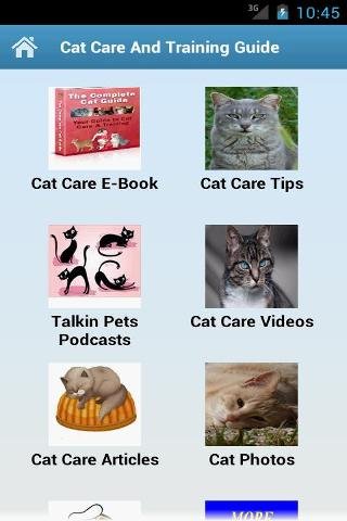 Cat Care And Training Guide截图3