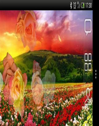 Rose Free Live Wallpaper截图3