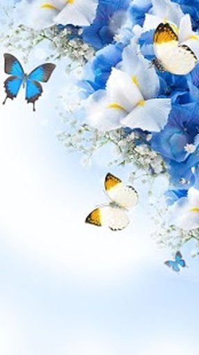 Flower Livewallpaper HD截图7