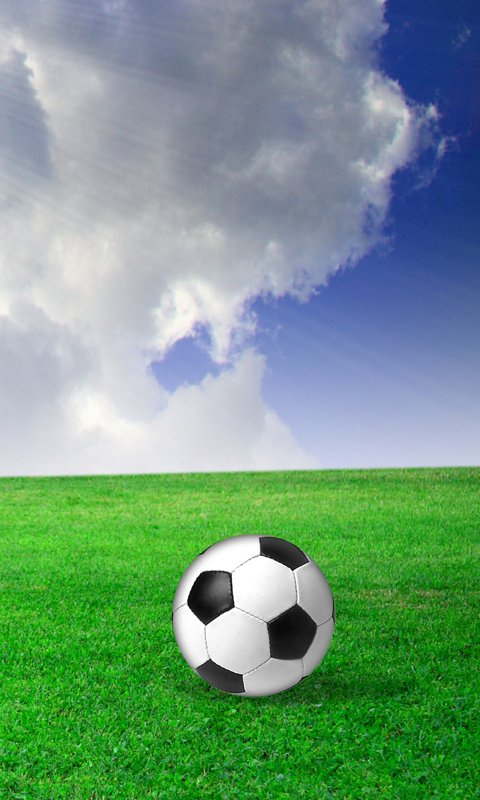 Super Football Live Wallpaper截图3